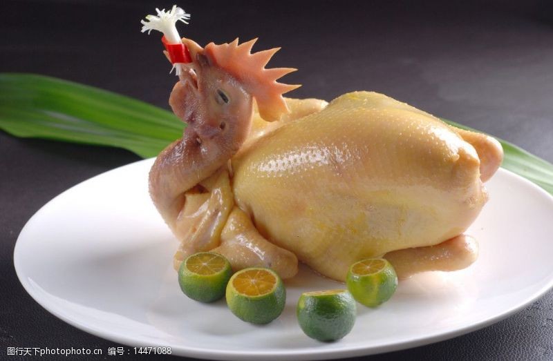 清蒸鸡肉图片素材