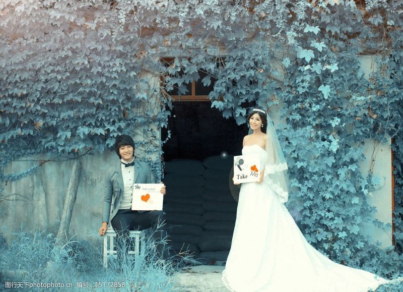 韩派婚纱摄影婚纱摄影图片
