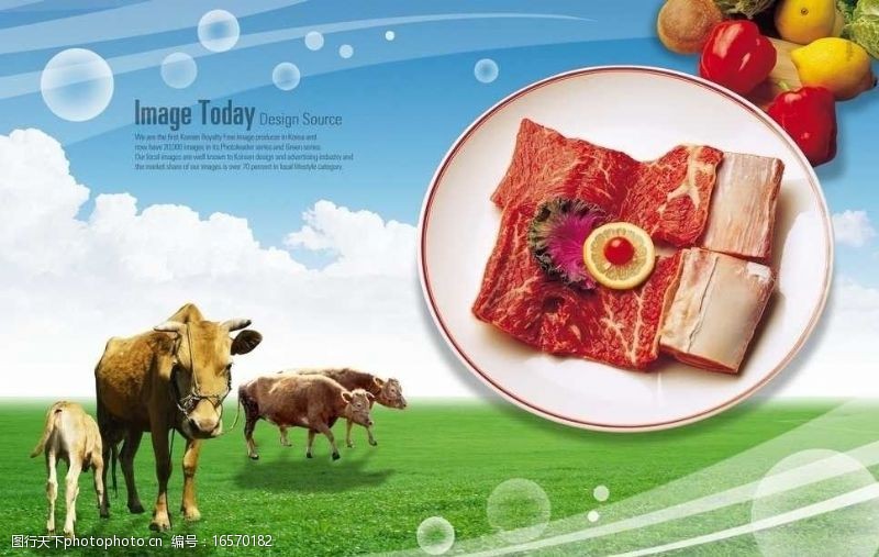 西兰花牛肉牛骨头食物食材图片