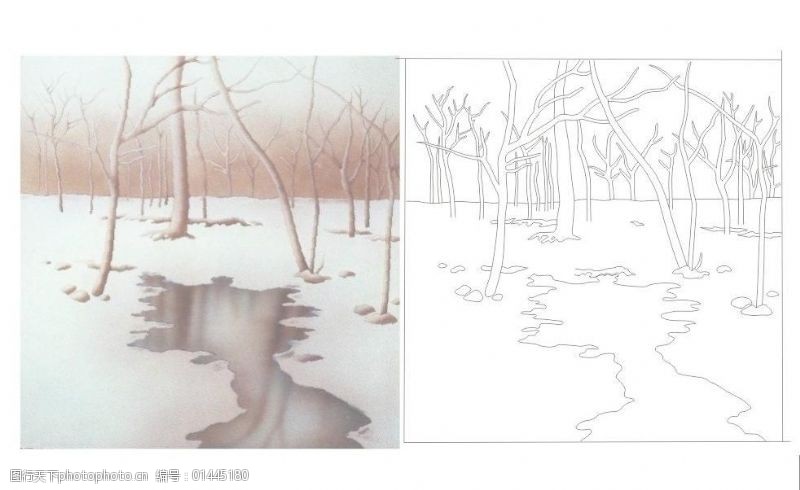 烤漆冬树林图片