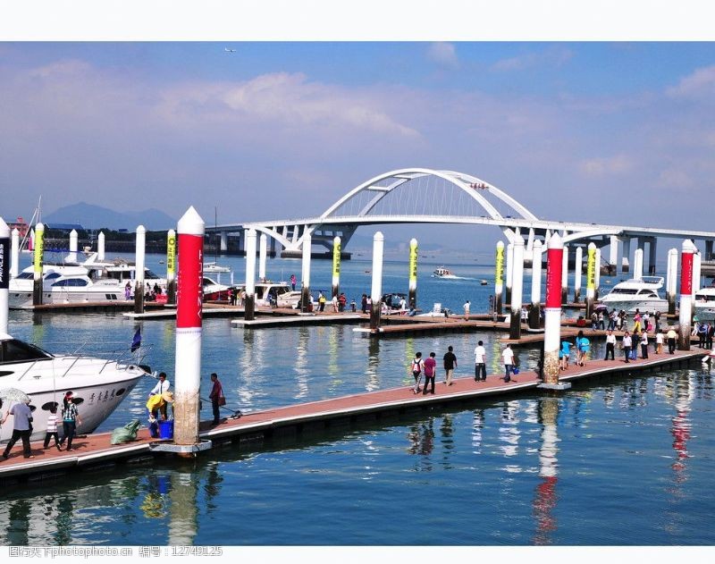 五缘湾全景人气旺盛的游艇码头图片