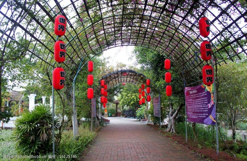 植物棚架图片免费下载 植物棚架素材 植物棚架模板 图行天下素材网