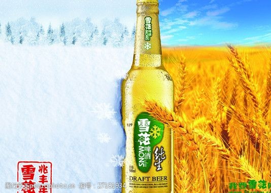 宣传物料雪花啤酒2012元旦宣传
