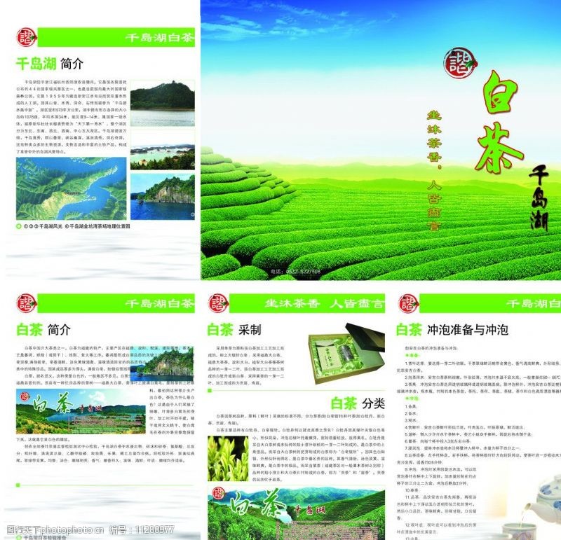 杂志系列模板茶叶三折页图片