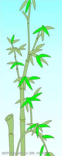 竹子的图案蓝天下的绿竹图片