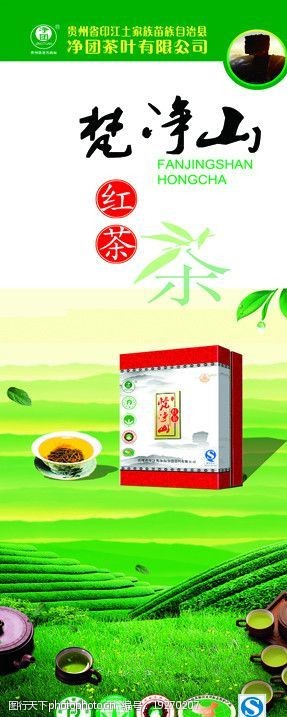 茶树菇茶叶易拉宝图片
