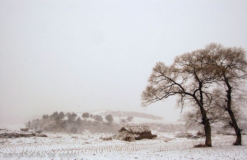 东北小村庄雪景图片