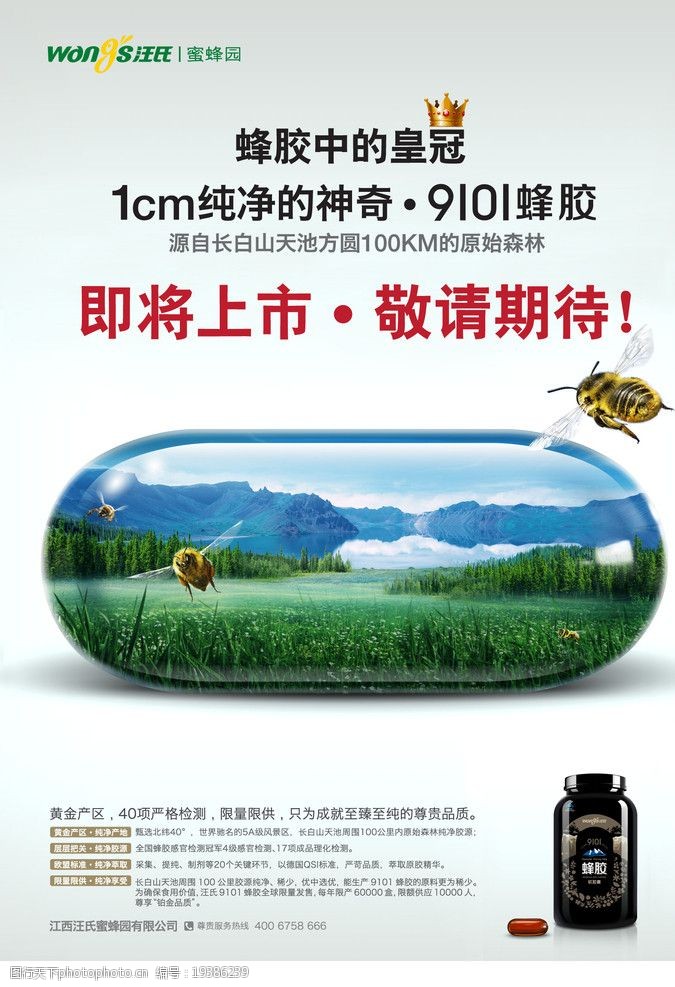 蜂蜜产品汪氏蜜蜂园宣传单图片