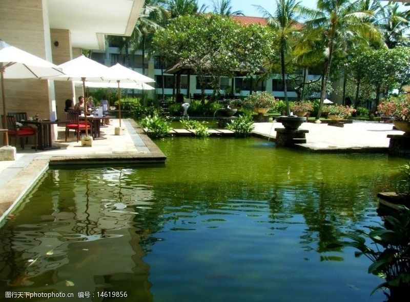 星级酒店外观巴厘岛港丽酒店自助餐厅图片