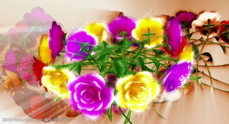 清晰颜色各种颜色玫瑰花