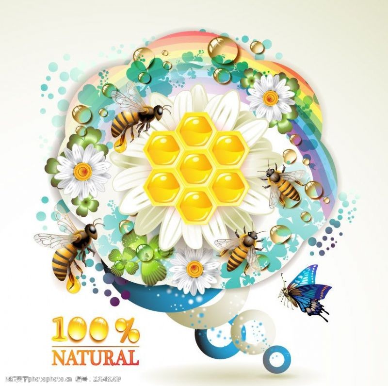 蜜蜂主题蜜蜂和蜂蜜标签