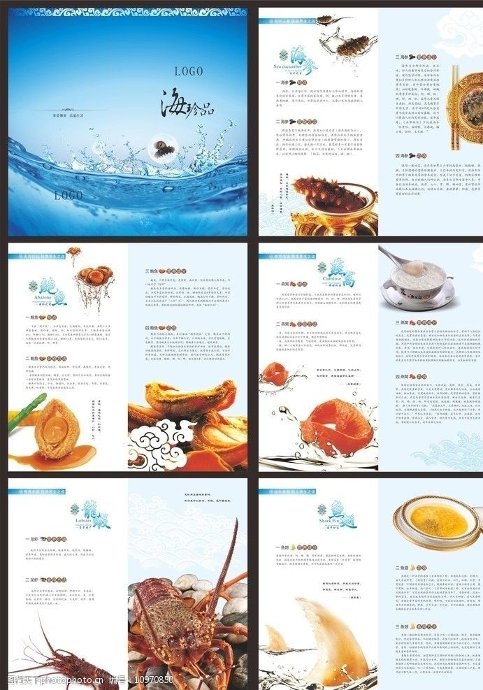 燕窝封面海产品画册图片
