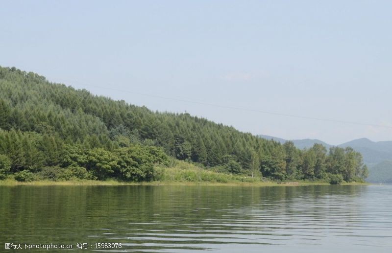碧水蓝天龙湖绿林图片