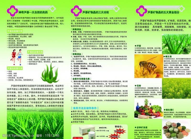 蔬菜三折页芦荟图片