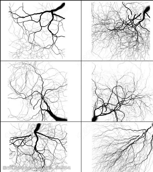 树根神经细胞闪电毛细血管笔刷