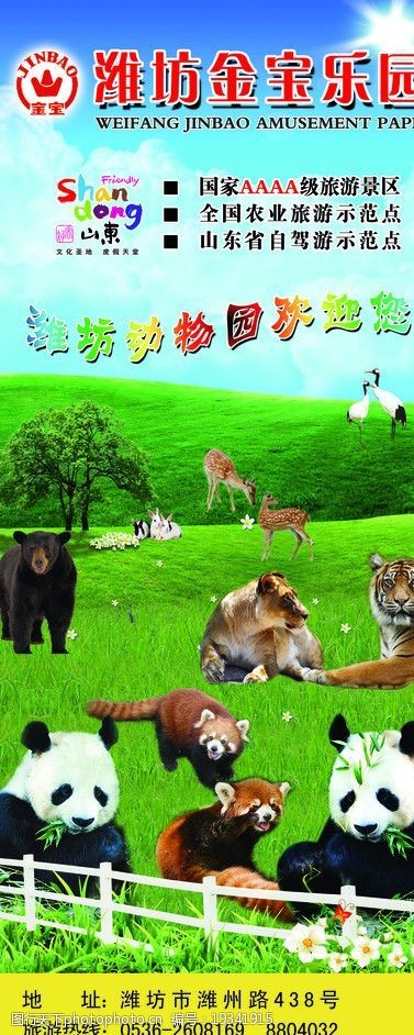 竹子海报设计动物乐园图片
