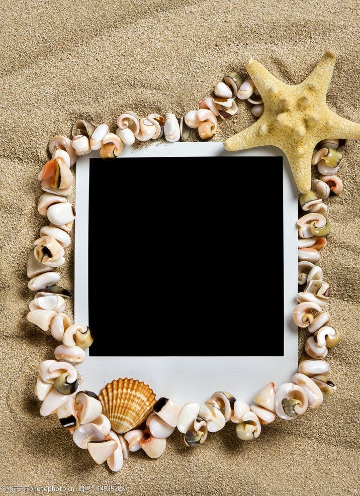 金色沙滩海星贝壳相片图片