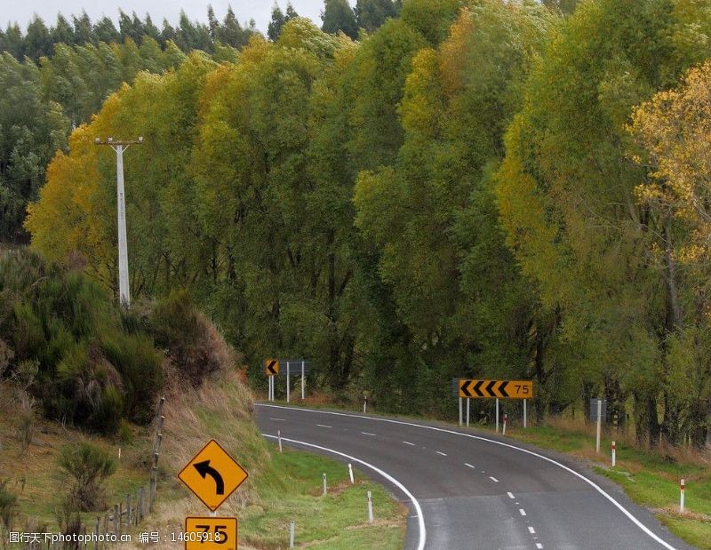 绿洲澳洲路边风景图片