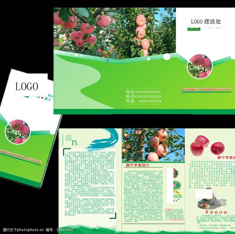 蔬菜三折页红富士宣传单图片