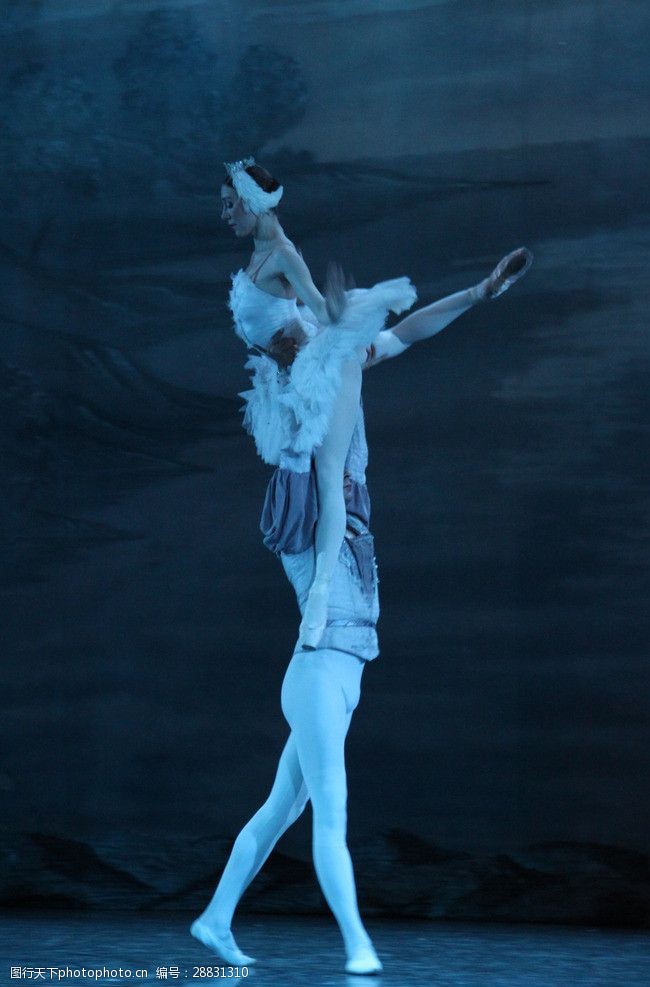 音乐与舞蹈芭蕾天鹅湖王子与白天鹅共舞剧照