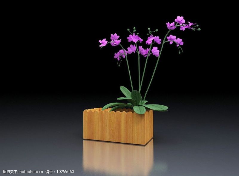 花草3d模型下载田园风格花盆3D模型图片