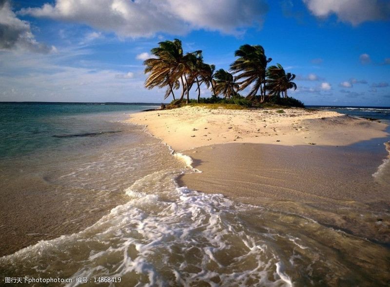 良辰美景小岛椰树图片