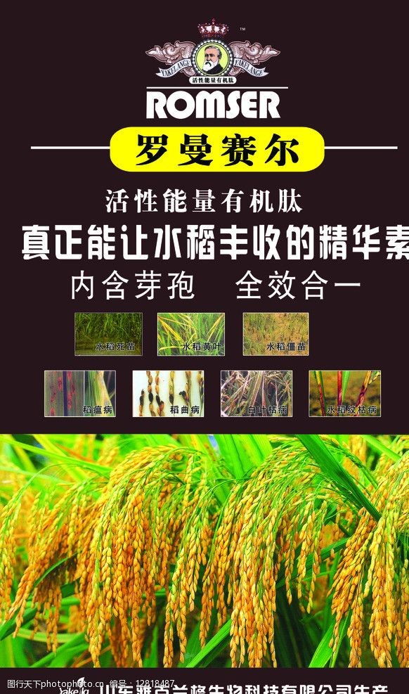 农药水稻宣传素材图片