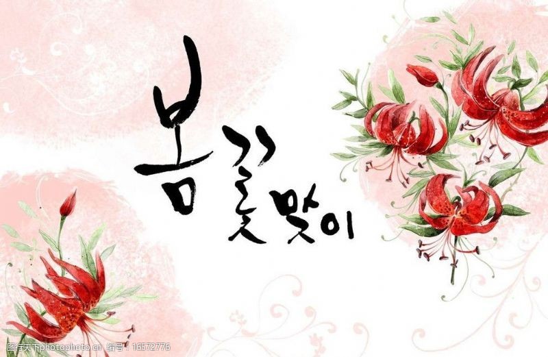 花朵油画韩国鲜花背景图片