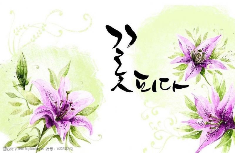花朵油画韩国鲜花背景图片