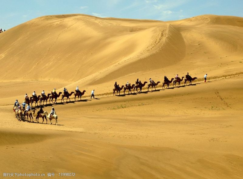 沙漠中蜿蜒的驼队图片