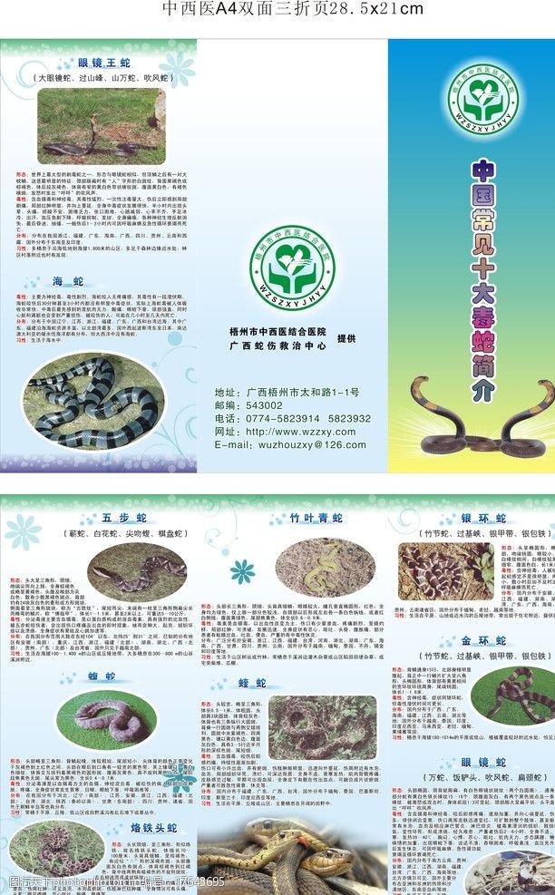 十环标志中国常见十大毒蛇简介图片