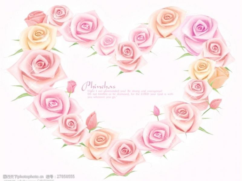 玫瑰花模板下载漂亮玫瑰花图片