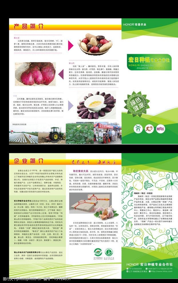 蔬菜三折页宏日农业之薯类农产品简介折页图片