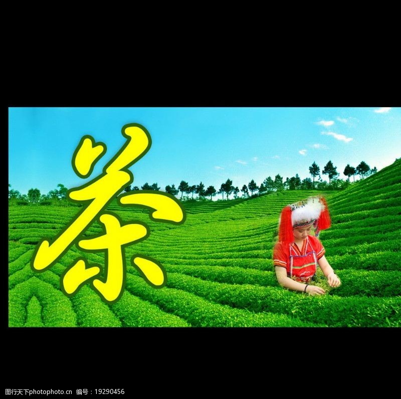 采茶女茶文化茶庄展板图片