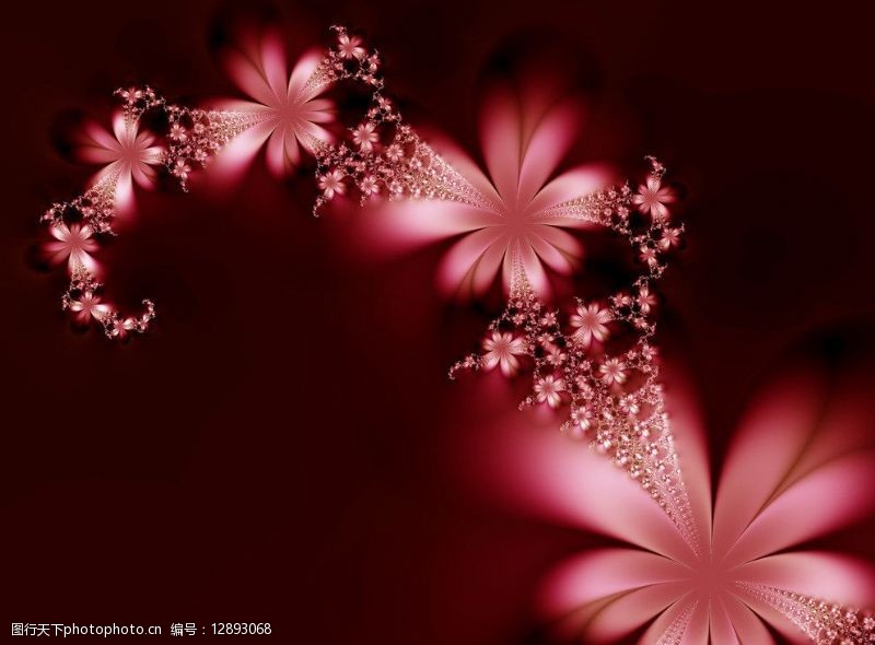 日式花語深红色花语图片