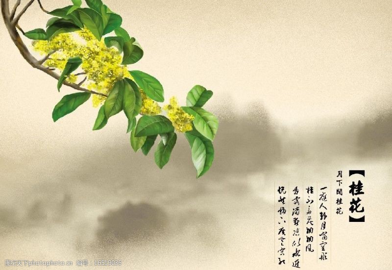 十二月月花图片免费下载 十二月月花素材 十二月月花模板 图行天下素材网 十二月月花图片免费下载 十二月月花素材 十二月月花模板 图行天下素材网