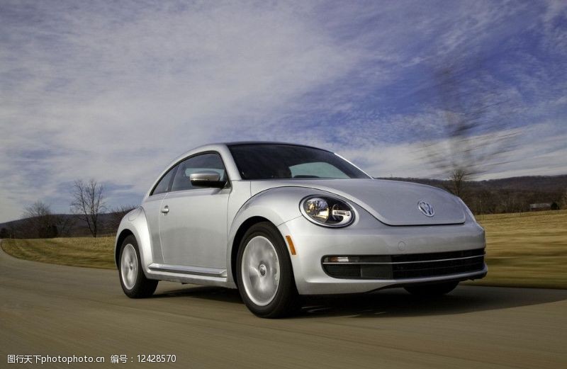 大众甲壳虫甲壳虫图片