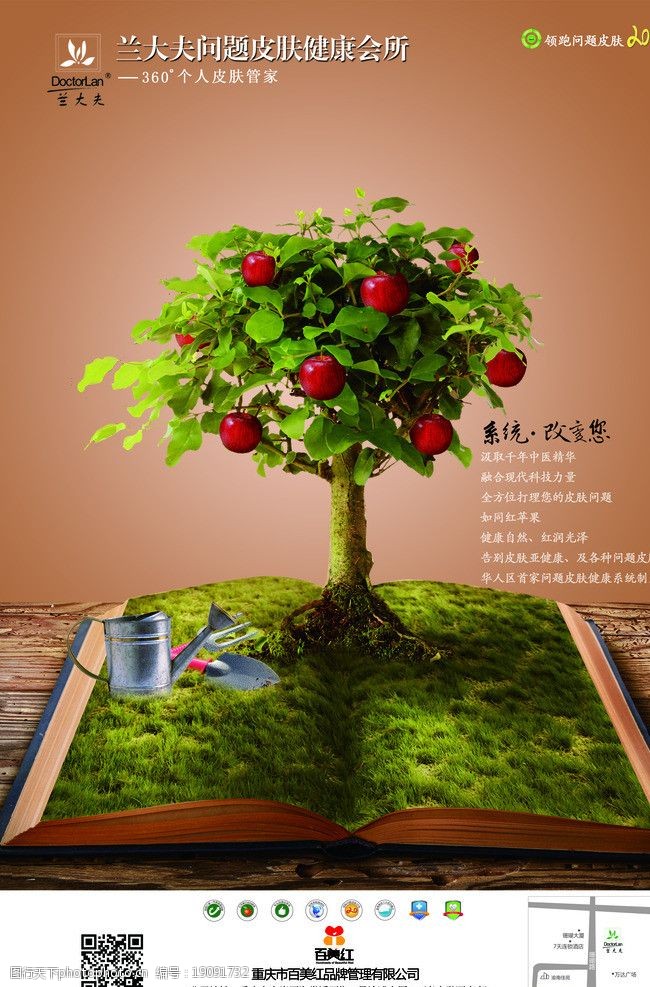 苹果树中医海报图片