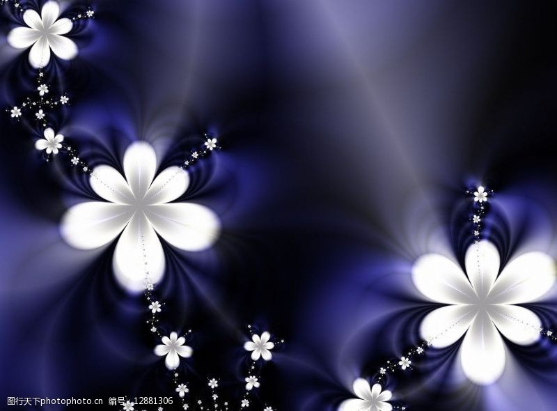 日式花語蓝紫色神秘花语图片