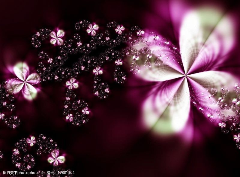 日式花語紫红色水滴花语图片