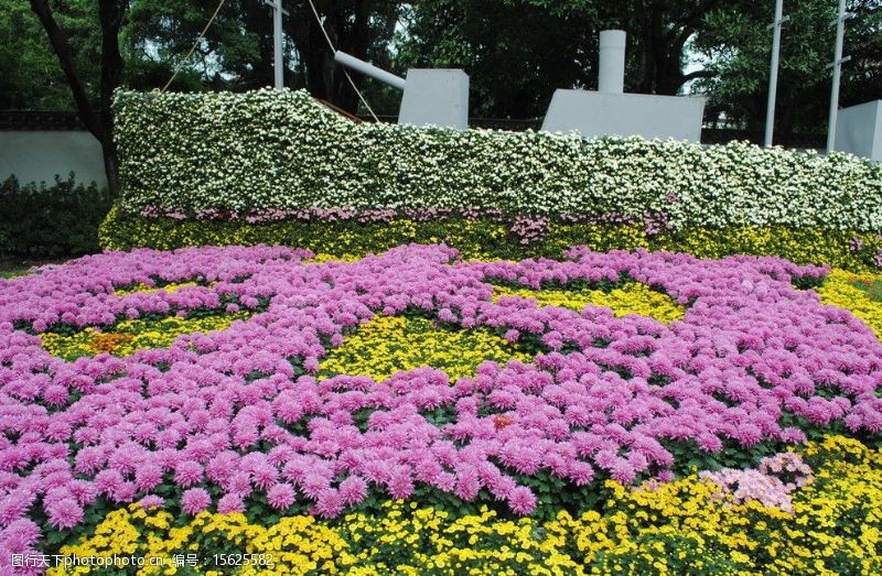 花圃种植面积一般多大