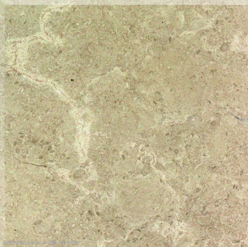 远海汽车船与ODS签署欧洲回程货年度协议