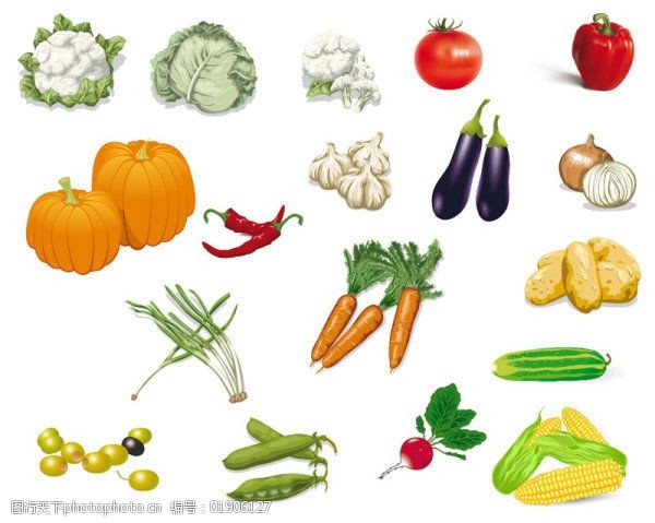 豌豆多种蔬菜矢量素材